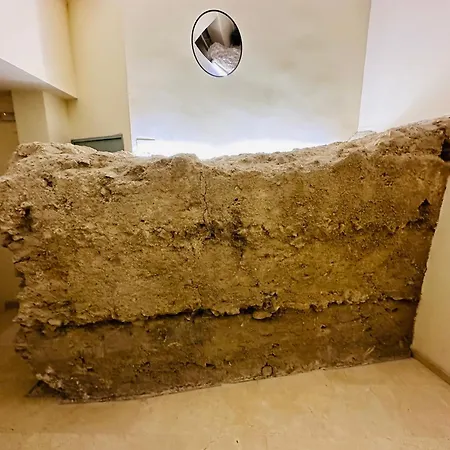 El Elefante Del Pilar *