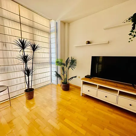 El Elefante Del Pilar 萨拉戈萨